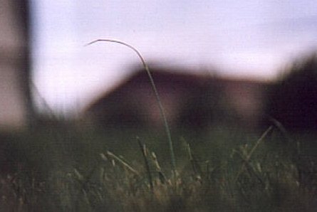 please do not hurt me..